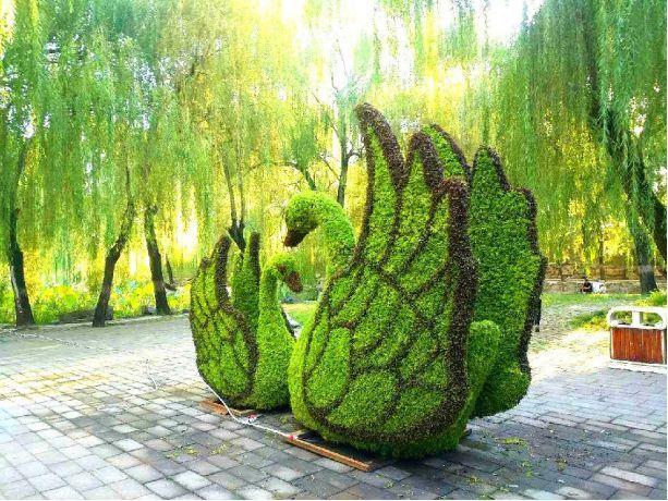 公园中的这些可爱的绿雕你见过吗？