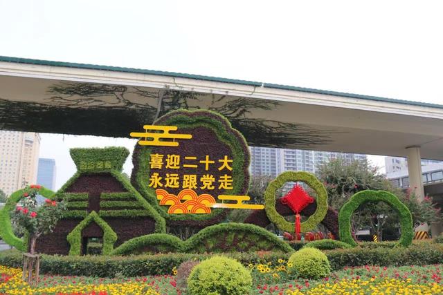 郑州多组绿雕扮靓街头 鲜花盛景喜迎国庆