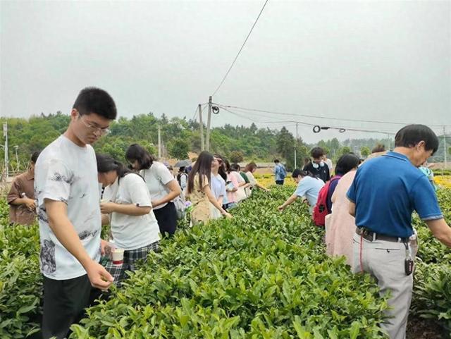新洲举办在汉百万学子行农文旅融合专场活动